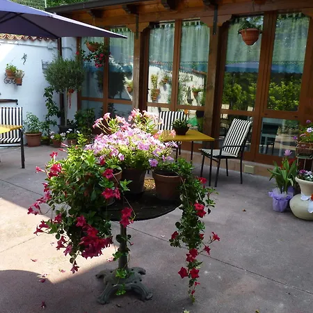 Bed & Breakfast Casa Dodic